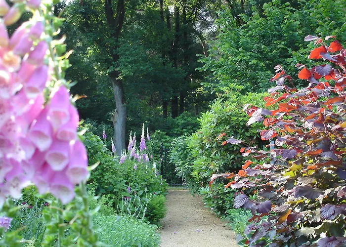 Bed & Breakfast Kiste Trui